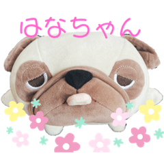 hana_20200809131156