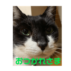 ASUKA_20200809122558