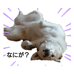 matsu_20200809120010