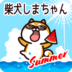 Shiba Shimachan in Summer