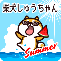 Shiba Shuuchan in Summer