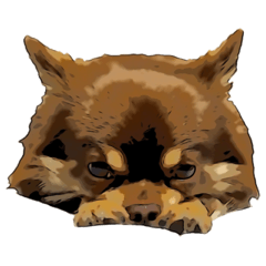 チョコタンチワワのユーリ Line スタンプ Line Store チョコタンチワワのユーリ Line スタンプ Line Store