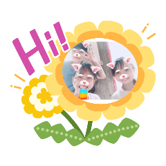 higasino friend