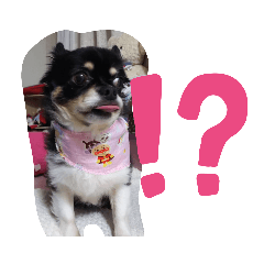 junko_20200809155706