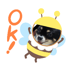 junko_20200809160623