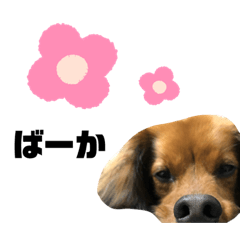 haruna_20200809160159