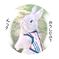 kanae_20200809163447