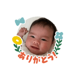 aoi_20200809165518