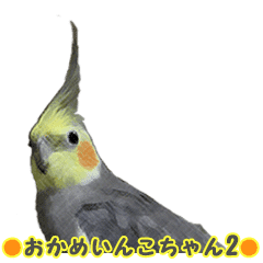 おかめいんこちゃん その Line スタンプ Line Store おかめいんこちゃん その Line スタンプ Line Store