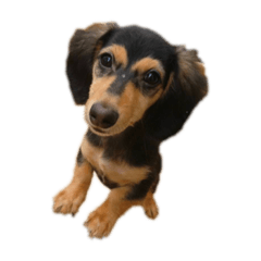 natsumi_20200809205606