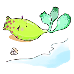 Daily Life of Succulent Plants