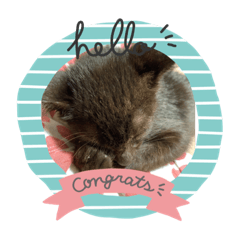 mochi_20200809224322