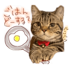 arisa_20200809234117