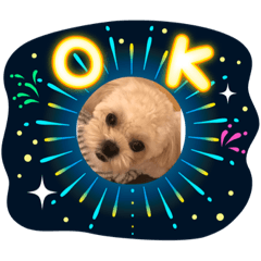 asuka_20200810111101