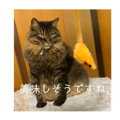 SAYURI_20200810111323