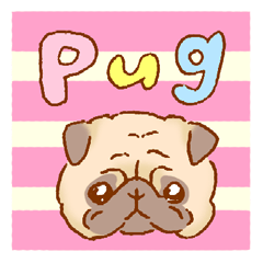 Sticker of a cute pug
