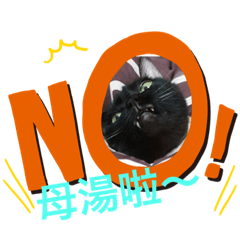 熊家大院-懶散篇1