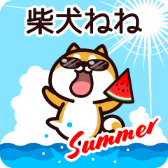 Shiba Nene in Summer