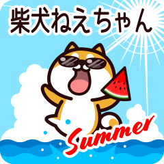 Shiba Neechan in Summer