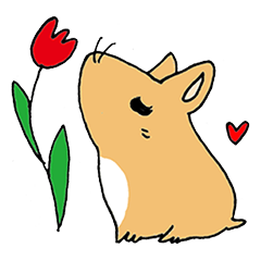 hamstar momo2
