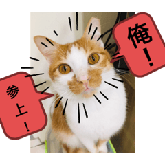 楽殿デース-2