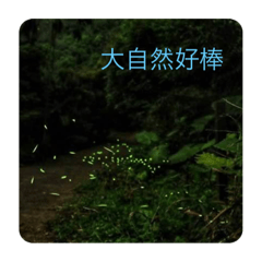 事在哈囉～自然生態篇