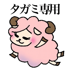 Sheep to give TAGAMI