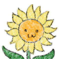 Sunflower one day