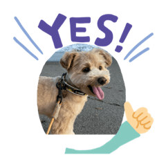 tetsu_20200810141304