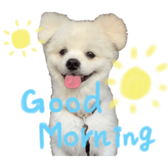 sumire_20200810133451