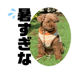 nozomi_20200810142758