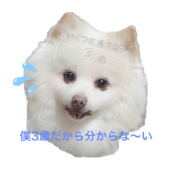 Asuka_20200810131235