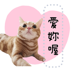 CAT Latte_Chen_maggie_2021 06