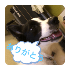 Toranosuke_20200810145153