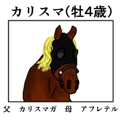 6th horse sticker