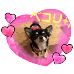 popo_2020081015523788