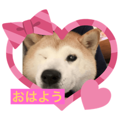 hana87chan_20200810125829