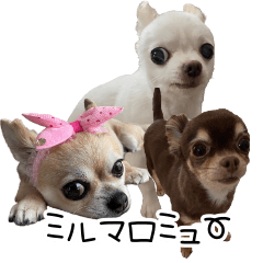Mill, Malo, Mew