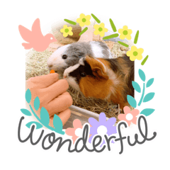 kazuki_20200810140938