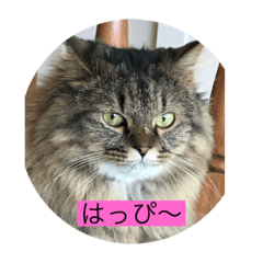 Sherry_20200810125956