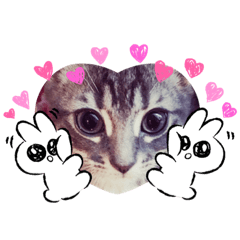 ogin cute stickers