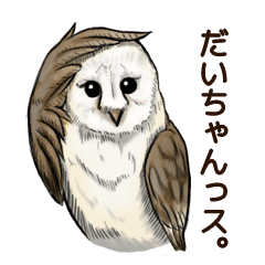 DAICHAN of the Owl
