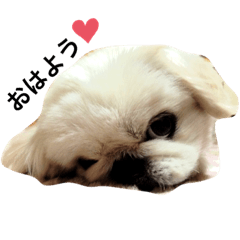 mizuki_20200810202527