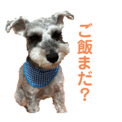 RINA_20200810193225