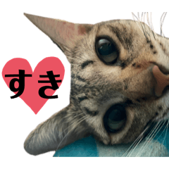 hikari_20200810200138