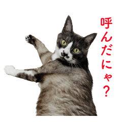 動物 Lineクリエイターズスタンプまとめ Stamplist Part 66