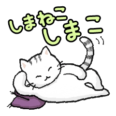 Tabby Cat SHIMAKO
