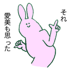 Rabbit's name is Aimi