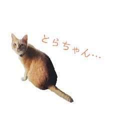 Kaho_20200811015057