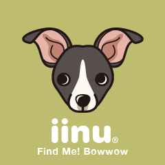 iinu - Nippon Terrier